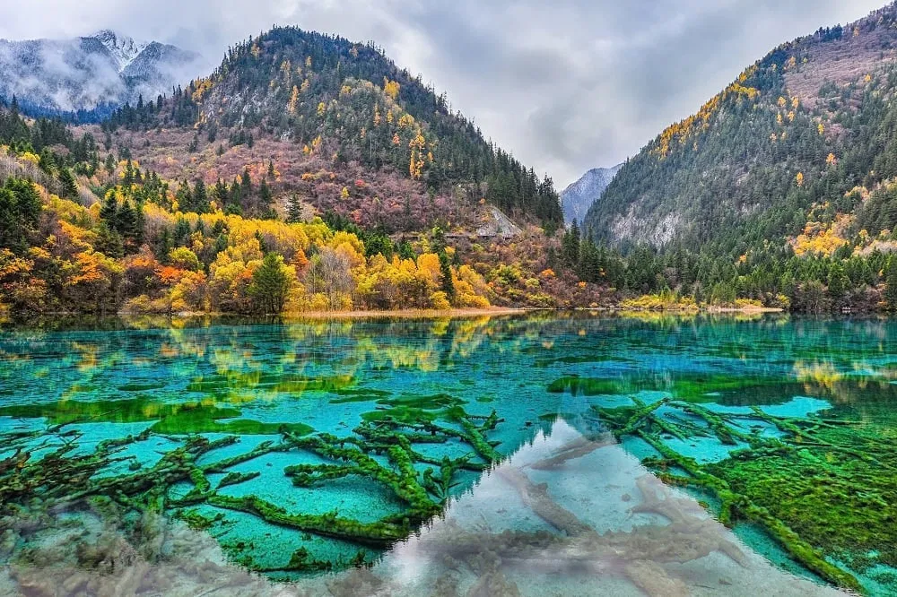 วิวทะเลสาบสีฟ้าและต้นไม้หลากสีในอุทยานจิ่วจ้ายโกว ฤดูใบไม้ร่วง มณฑลเสฉวน ประเทศจีน