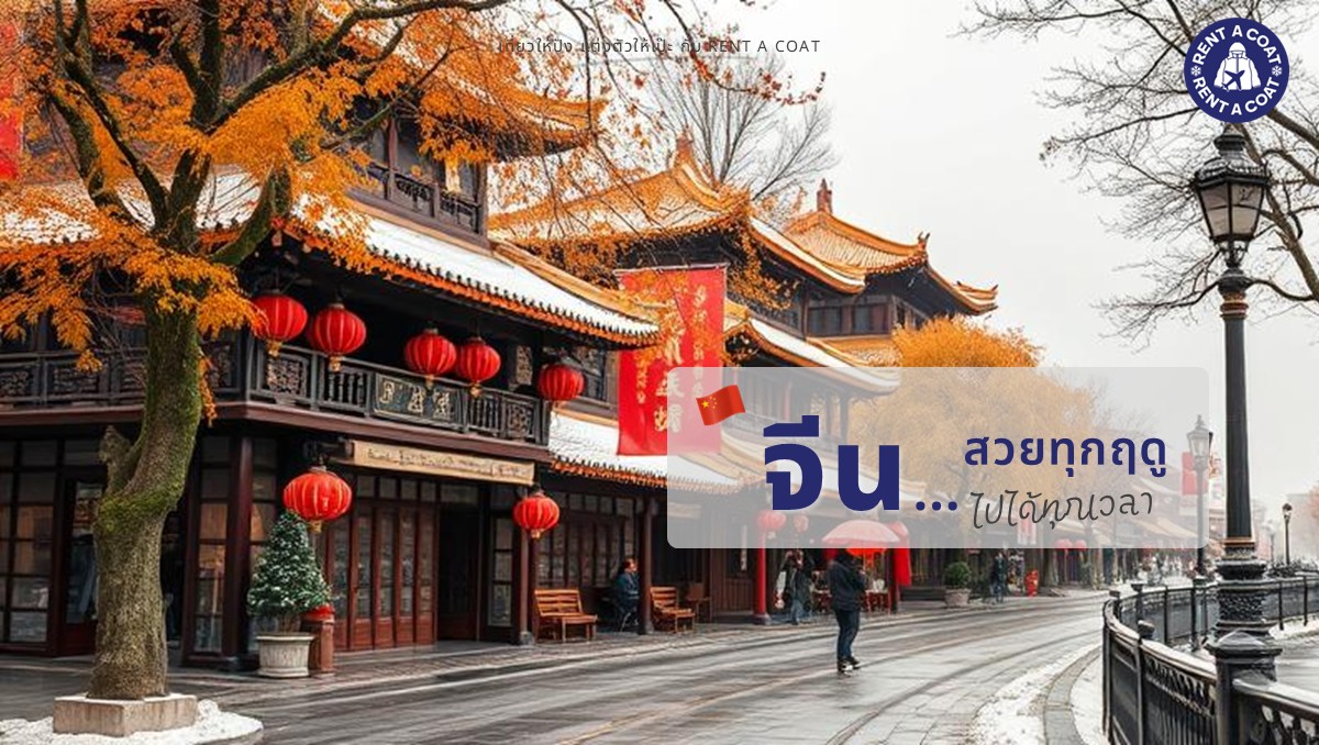 นักท่องเที่ยวเดินเล่นในวัดจีนโบราณกับโคมแดงในฤดูหนาว บรรยากาศท่องเที่ยวประเทศจีนที่ไปได้ทุกฤดู